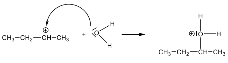 Schematische Darstellung eines sekundären Carbokations, das mit Wasser zu einem protonierten Alkohol reagiert.